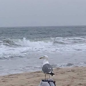 Meet your Posher, Mya